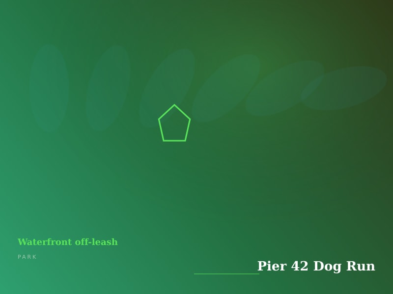 Pier 42 Dog Run