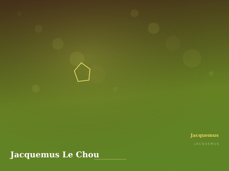 Jacquemus Le Chou